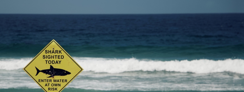 What is Risk Assessment